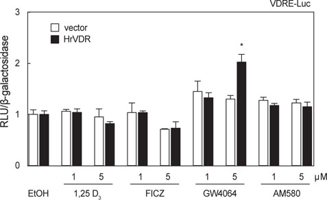 Transcriptional activation of HrVDR by FXR agonist GW4064. Vehicle and HrVDR expression vectors were transfected into HEK-293 cells as indicated. Treatment of ligands, luciferase reporter assays and statistical analysis are same with Fig. 3.