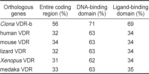 Amino acid sequence identities with Halocynthia roretzi VDR, HrVDR