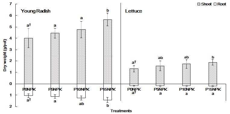 Dry weight of young radish and lettuce under different application levels of phyllite. Means by the same litter within a column are not significantly different at 0.05 probability level according to Duncan’s multiple range test.