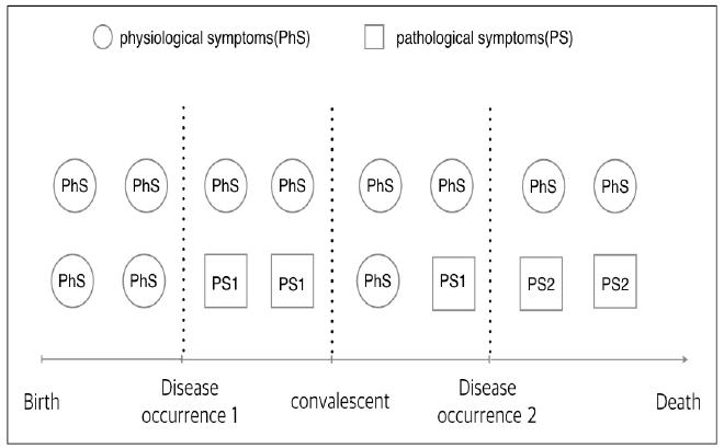 Distribution of physiological and pathological symptoms in different health status on a time axis