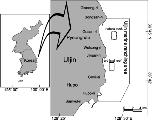 Map showing the sampling stations of fisheries resources by trammel net from 2009 to 2010 in the Uljin marine ranching area, Korea.