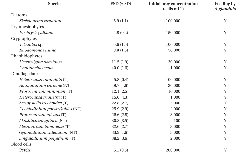 Taxa, sizes, and initial prey concentration of prey species offered as food to Aduncodinium glandula in experiment 1