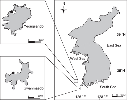 A map of study sites and the location of Gwanmaedo and Yeongsando, southwestern coast of Korea.