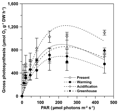 Photosynthesis versus irradiance curves of Ulva pertusa under four CO2 and temperature conditions. PAR, photosynthetic active radiation, i.e., irradiance. Data are presented as mean ± standard deviation (n = 3).