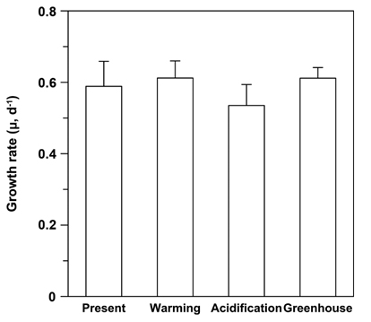 Growth rate (μ) of Ulva pertusa under four CO2 and temperature conditions. Data are presented as mean ± standard deviation (n = 5, p > 0.05).
