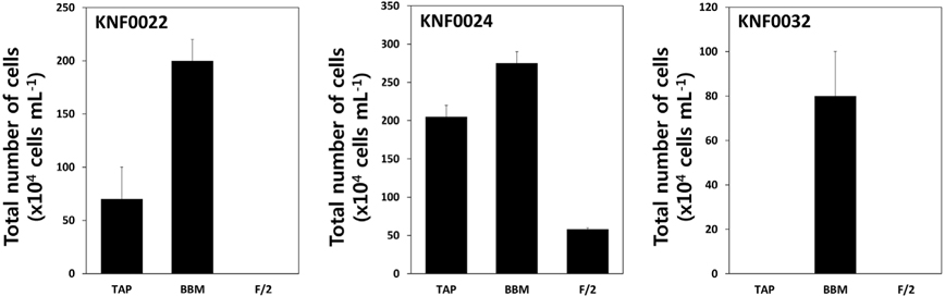 Determination of optimal media for cellular growth of KNF0022, KNF0024, and KNF0032 at 12℃. The cells were grown on Tris-acetatephosphate (TAP) and Bold’s basal medium (BBM) as freshwater media and F/2 as a seawater medium. Each sample was taken in duplicate and averaged.
