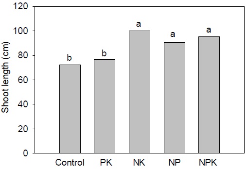 Fruit yield and shoot length of pepper affected by application of chemical fertilizers.