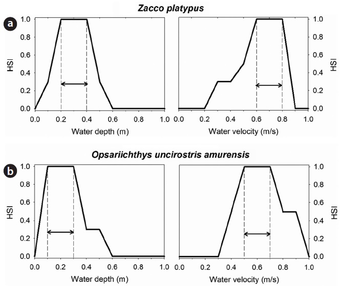 Habitat suitability indices (HSIs) of water depth (left) and water velocity (right) of (a) Zacco platypus and (b) Opsariichthys uncirostric amurensis. Arrows indicate optimal HSI range of each species.