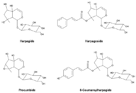 Chemical structures of the major iridoids from Harpagophytum procumbens.