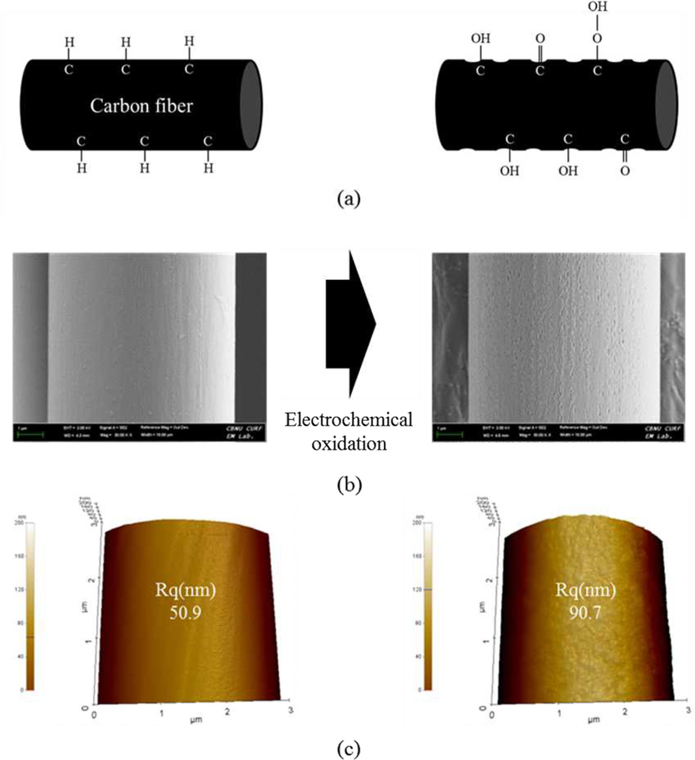 Surface analysis of carbon fibers before (CF-AS) and after (CF-4.0) electrochemical oxidation: (a) scheme of surface oxidation, (b) scanning electron microscopy images of the CFs, (c) atomic force microscopy images of the CFs.