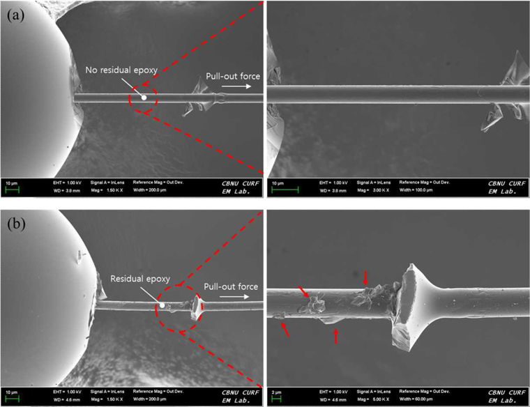 Fractured morphologies of the carbon fiber (CF)/epoxy after interfacial shear strength test: (a) CF-AS, (b) CF-4.0.