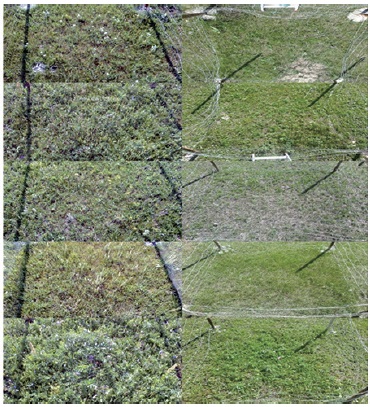 Vegetation covers on July (the left panel is showing in 2014, the right panel showing in 2015).