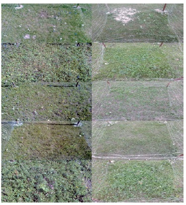 Vegetation covers on August (the left panel is showing in 2014, the right panel showing in 2015).