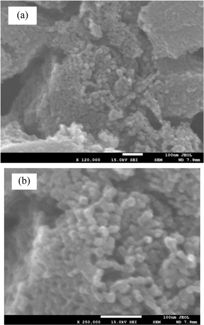 Scanning electron microscope images at different magnifications of the 20 h ball milled carbon rich fly ash.