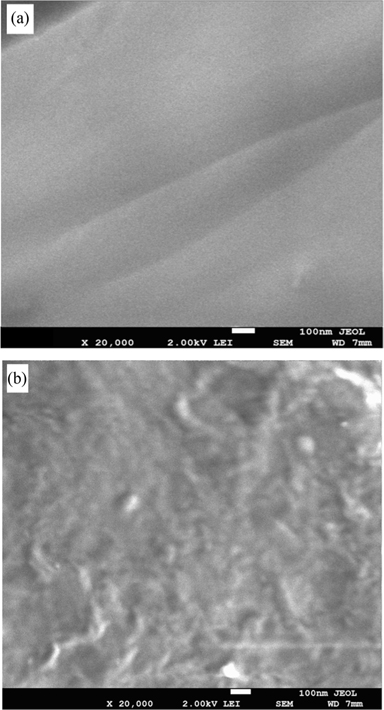 Scanning electron microscope images of the neat epoxy resin (a) and carbon nanoparticles/epoxy composite at a weight friction ratio of 0.5 wt% (b).