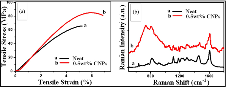 Stress-strain curves (a), Raman spectra (b) of neat and CNPs/epoxy composite at a weight frication ratio 0.5 wt%. CNPs, carbon nanoparticles.