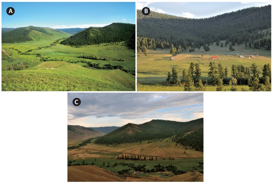 Landscape and Vegetation in three different years (from different angle). (a) 2013, (b) 2014, and (C) 2015.