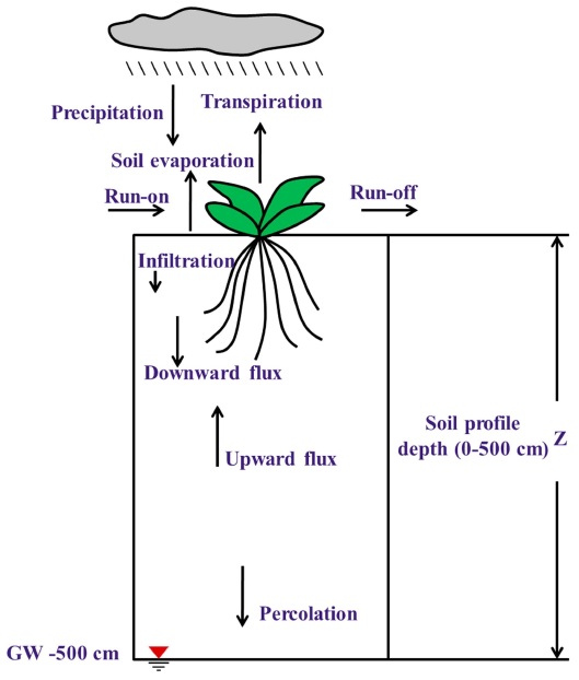 Soil column with the bottom boundary condition (GW-500cm).
