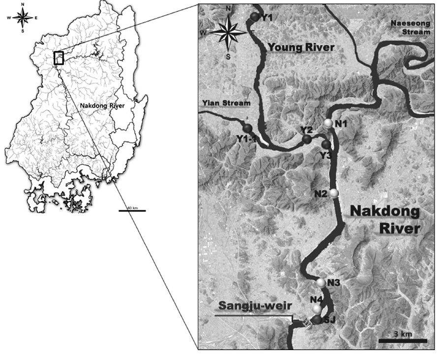 Map showing the sampling stations in the upper region of Nakdong River.