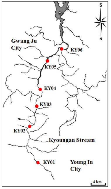 Location of the survey sites (KY01 : Gileopgyo, KY02 : Yurimgyo, KY03 : Samgyegyo, KY04 : Wangsangyo, KY05 : Gyeongangyo, KY06 : Jiwolgyo).