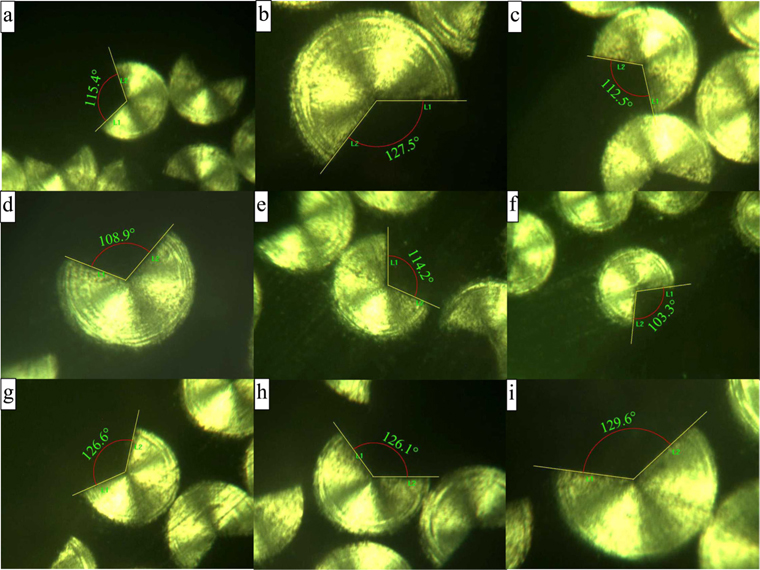 Polarized light optical micrographs of transverse section of mesophase pitch-based carbon fibers with open cracks. (a) #1, (b) #2, (c) #3, (d) #4, (e) #5, (f) #6, (g) #7, (h) #8, and (i) #9.