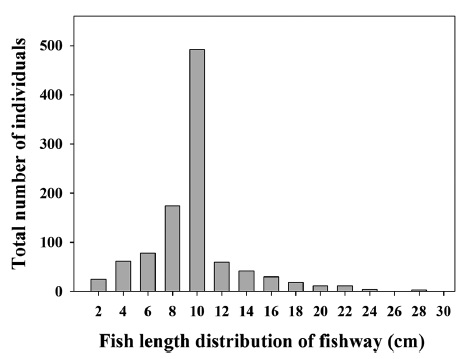 Size distribution and frequency analysis of fishes sampled from the fishway of Juksan Weir.