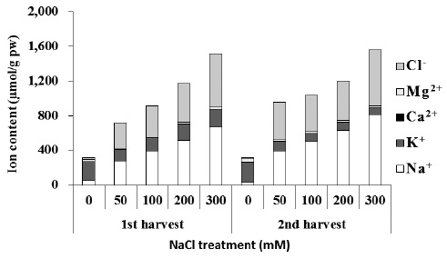 Effect of NaCl treatments (0, 50, 100, 200 and 300 mM) on the inorganic cation concentrations (μmol/g plant water) in leaves of Beta vulgaris. Data represent mean values.