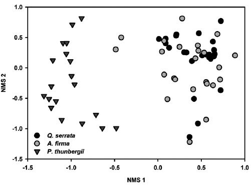 NMS ordination of shrub layer compositions. NMS 1 and NMS 2 accounted for 36.4 % and 19 % of variation of woody species composition, respectively, resulting in a cumulative 55.5 % variation of shrub layer composition by the first two NMS axes.