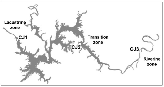 Map of Chungju Reservoir showing the three sampling sites of riverine (Rz), transition (Tz), and lacustrine zone (Lz).