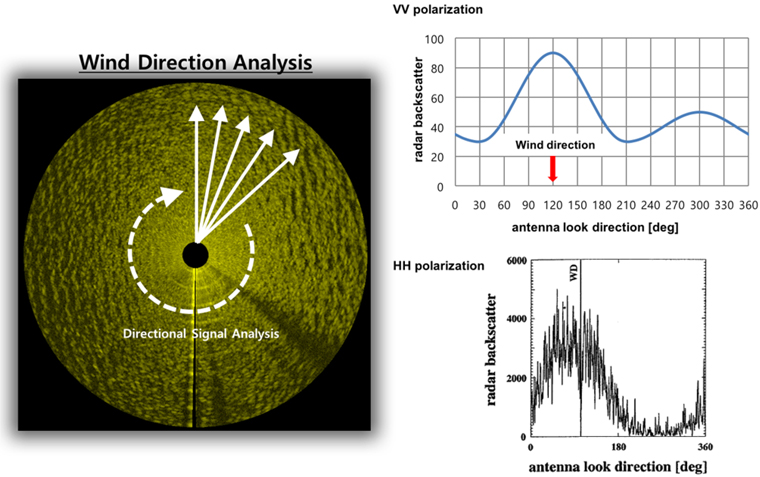 Scheme of wind direction analysis and examples of azimuthal dependency of radar backscatter