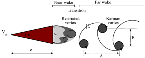 Typical structure of the cavitating wake