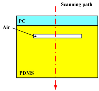 Schematic of the microfluidic chip’s structure.