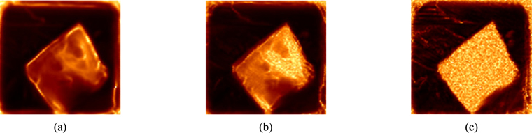 Terahertz images at three different frequencies. (a) 0.5 THz; (b) 1.2 THz; (c) 2.0 THz.
