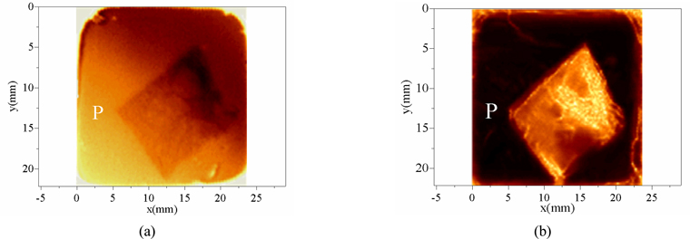 Two kinds of frequency-domain slice (1.2 THz) imaging results (hot image). (a) based on the intensity of the reflected terahertz signal; (b) based on terahertz absorption characteristics.