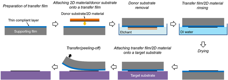 Schematic of the dry transfer process of two-dimensional material using the transfer film consisted of thin compliant layer and supporting film.