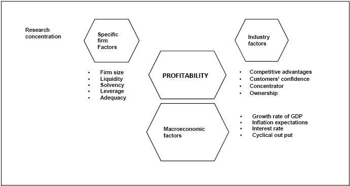 The Determinants of Profitability